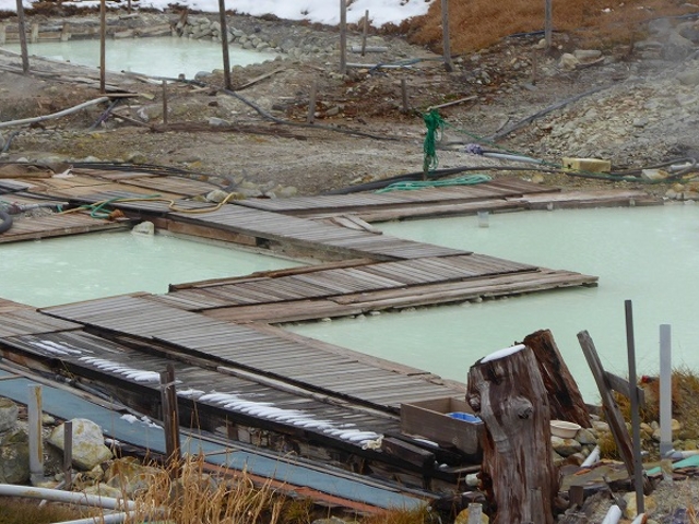 ��茧�E�������E�~�G�����Ԃ̓�������E�ʉ_���i���ߘH�ォ�猩���铒�a�j_��������ʉ_��