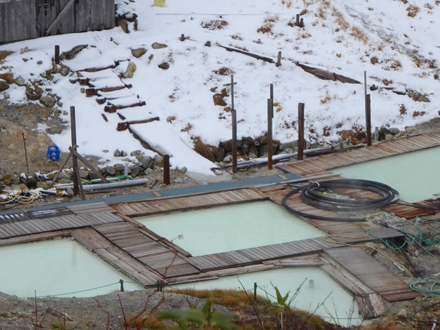 ��茧�E�������E�~�G�����Ԃ̓�������E�ʉ_���i�㕔�H����j_��������ʉ_��