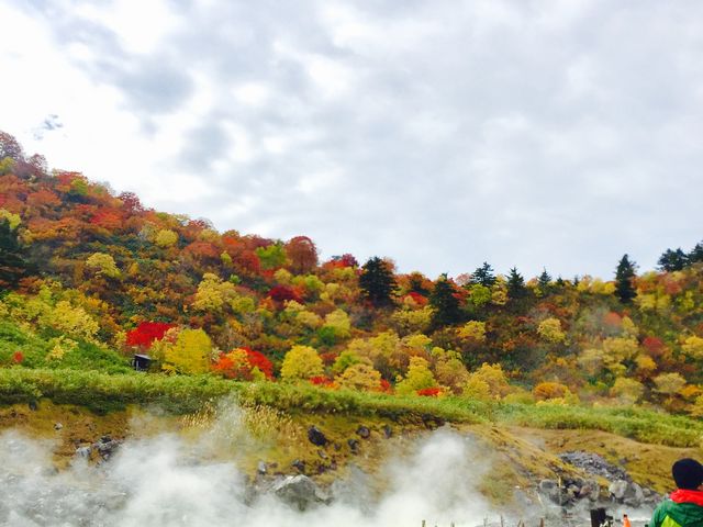 �V���̂悤�ł����I_�ʐ쉷��E�V�ʐ쉷��