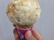 WW̃T[eBACXN[ CI[sniX̓eʐ^1