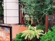 񂳂̃}NhihrX̓eʐ^1