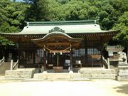 YG̑fᵚj_ЁiVЁj̓eʐ^1