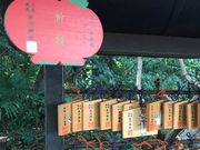 ܂邿񂳂̖k{X_Ђ̓eʐ^1