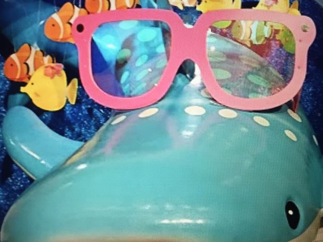 ���ʓ�K�̓�����B_�V�ێR�}�[�P�b�g�v���[�X