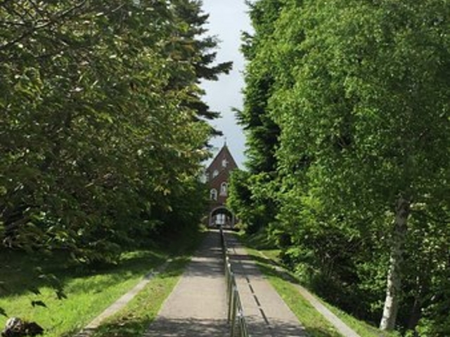 �g���s�X�g�C���@_�����V�g�[���̐����C���@�i�g���s�X�g�C���@�j