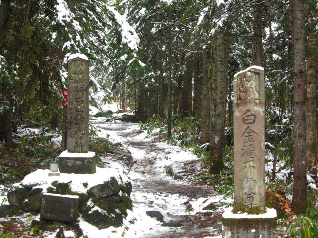 �s���̑����_�s���̑�