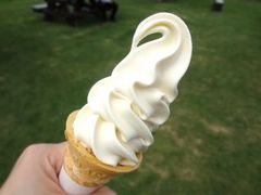 ����������̂������P�P�W�ւ̓��e�ʐ^1