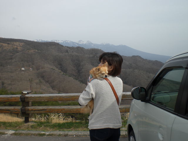 nishiyan̒r̕΂̓eʐ^1