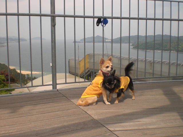 _CƃNłBQl킹đ嗤łBX_V̂܂