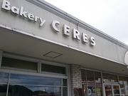 ܂܂̃}kJsX cX̓eʐ^1