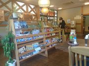 NXElEr̓̉w ̋ ̓eʐ^5