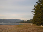 nishiyan̓V̂܂̓eʐ^1