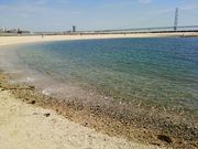 Ƃ񂳂̑呠C݂̓eʐ^2