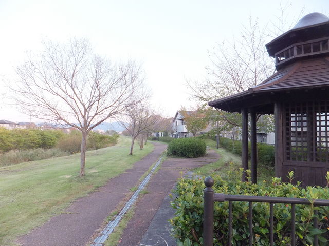 ����͐��ӌ���