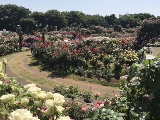 �F�N�₩���K�N_�����o����