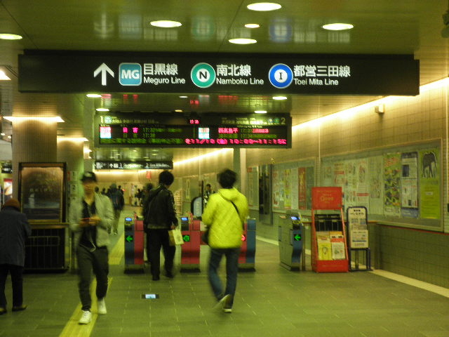 ���D��_���}�d�S�ڍ����ڍ��w