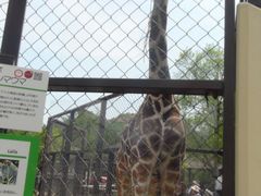 ȁ`ɂ񁙂̋ssւ̓eʐ^1