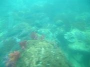 䂫Ȃ̋[COX{[g̓eʐ^1