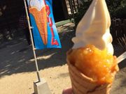 񂳂̓l͎ c܂₳̓eʐ^1