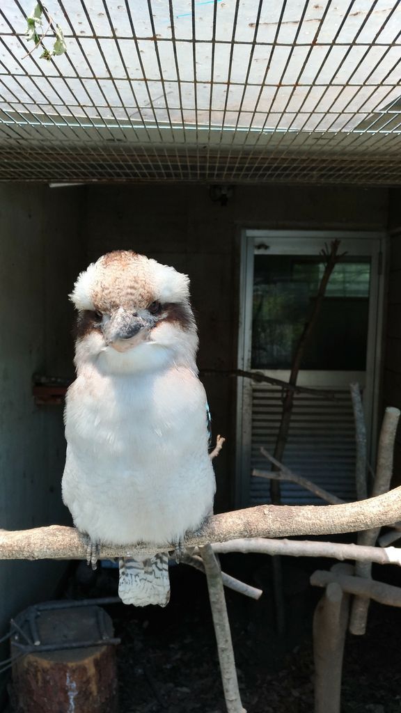 所沢駅周辺の動物園・植物園ランキングTOP10 - じゃらんnet