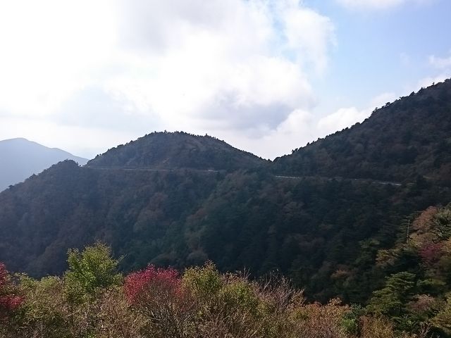 �g�t���L���C_�m�c�����W�]��