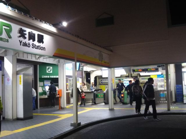 cJ擙X͂̏Zl̗{VT X̓eʐ^1