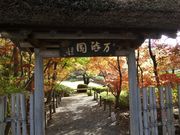 higekuma50̃}YC{뉀uv̓eʐ^1