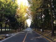 tam-tam̃^v^v̒}gŵʂ̓eʐ^1