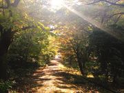 �̂Ԃ���������̔����r�W�^�[�Z���^�[�̓��e�ʐ^1