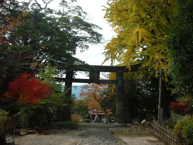 Ԃ񂳂̉pFR_{ ̒̓eʐ^2