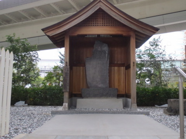 ����������_����������