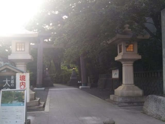 �����_��_�����_��