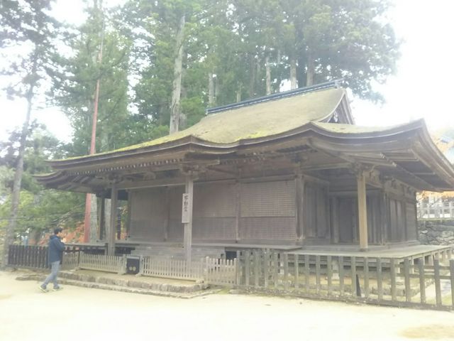 ����ł��I�I_�s����