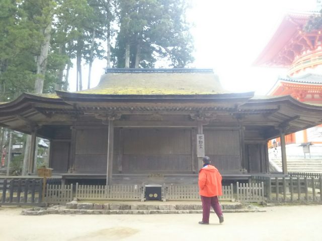 �����̌`���ƂĂ��ǂ��ł��I_�s����