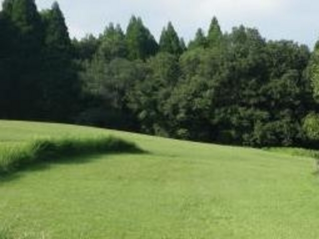 tXs[ḧ䖳cLv̓eʐ^1