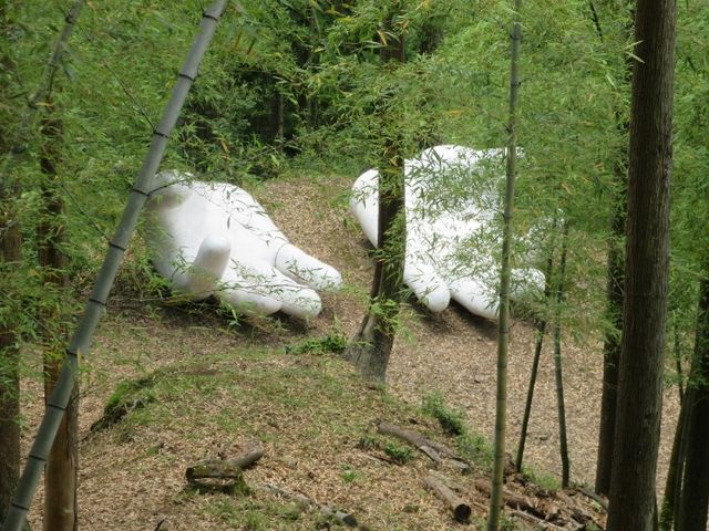 �q�̌���_�������̌Ù���K�˂�݂�