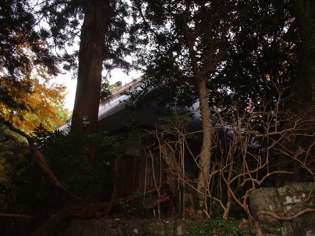 Ԃ񂳂̉pFȐhV̓eʐ^2