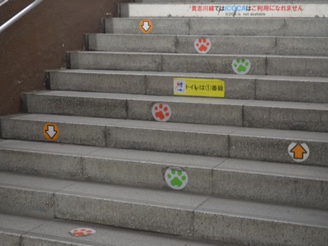 �K�i�ɂ��V�ѐS��_�a�̎R�d�c