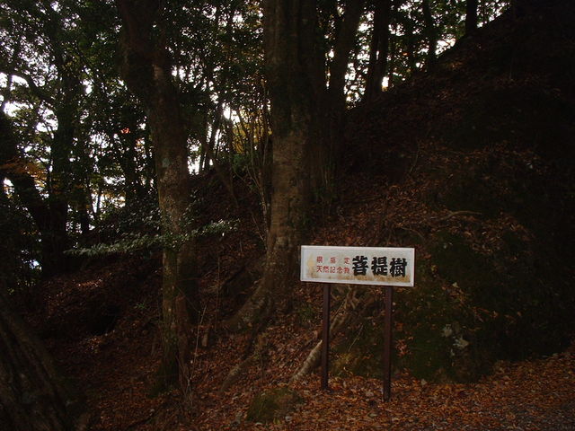 Ԃ񂳂̉pFR̓̕eʐ^2