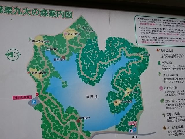 Ԃœ񕪂ŋ̐Xɍs܂_蔪؎RoCpXX