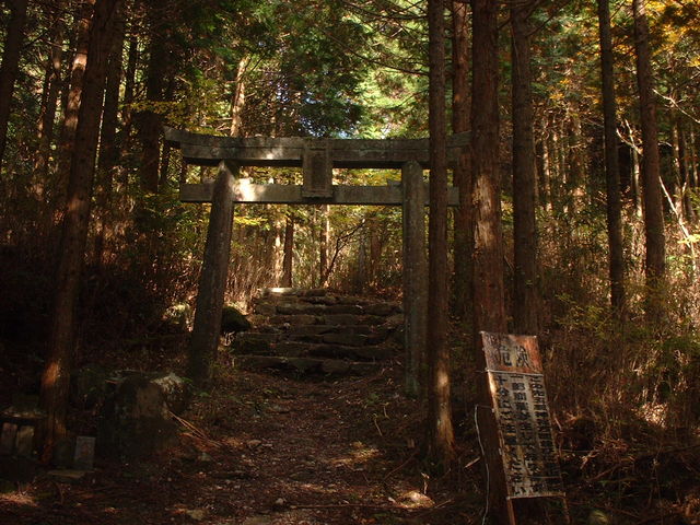 Ԃ񂳂̋ʉ_ЁipFRj̓eʐ^2