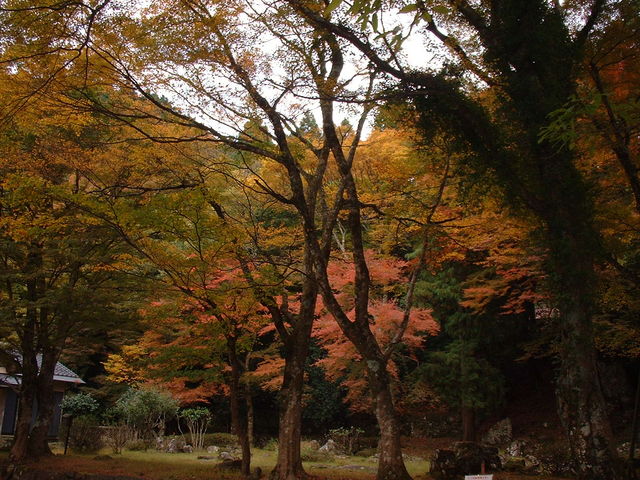 Ԃ񂳂̉pFR뉀@TΖV뉀̓eʐ^3