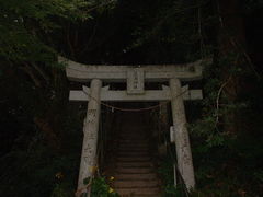 Ԃ񂳂̒W_Ђւ̓eʐ^1