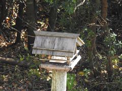 西湖野鳥の森公園の口コミ一覧 じゃらんnet