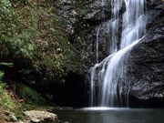 woodsvalley̋Ց̓eʐ^2