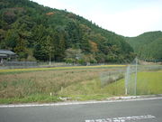 Ԃ񂳂̕FR㗬t߁E㗬t߂̓eʐ^2