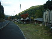 Ԃ񂳂̂ԂX̃rbW@Lv̓eʐ^4