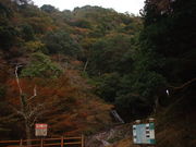 Ԃ񂳂̏\ÐkJ̓eʐ^1