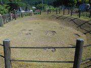 ܁`ځ`̍푺Ί펞ZՂ̓eʐ^2