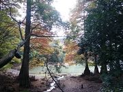 ܂܂̎Iό@όē̓eʐ^1